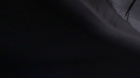 Aaron Judge celebra su cuadrangular ante Texas Rangers.