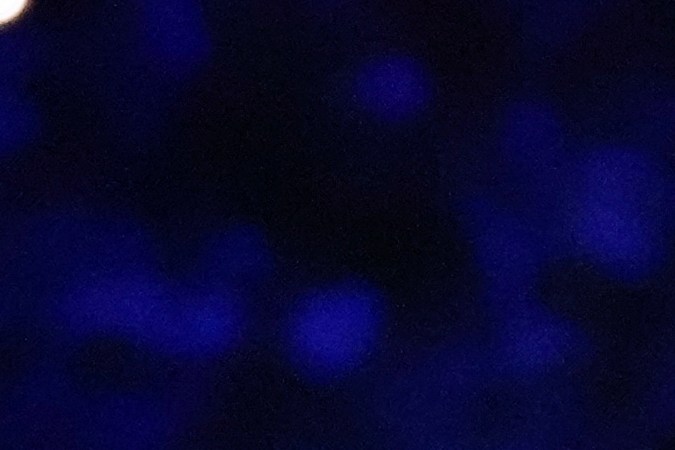 Tom Cruise sujeta el estandarte de los Juegos Olímpicos en la ceremonia de cierre de París 2024.