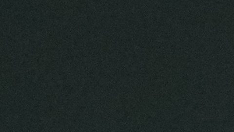 ¡Histórico! Danny Jansen jugará para dos equipos en un mismo juego en MLB