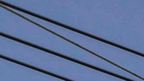 Empleados de LUMA Energy en Puerto Rico