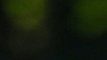 Nicolás Maduro dice que Edmundo González está "preparando su fuga" de Venezuela