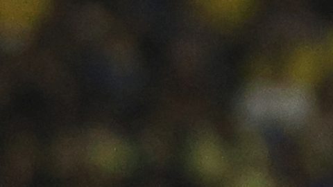 Paul Rodríguez persigue al delantero de los Colorado Rapids Calvin Harris.
