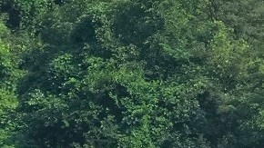 EE.UU. y Corea del Sur iniciaron ejercicios militares conjuntos