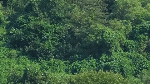 EE.UU. y Corea del Sur iniciaron ejercicios militares conjuntos