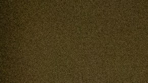 Robert F. Kennedy Jr.