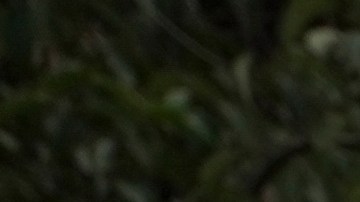 El partido unitario opositor invitó al pueblo venezolano a imprimir su respectiva acta para protestar pacíficamente.