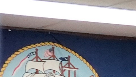 Elecciones primarias en Florida