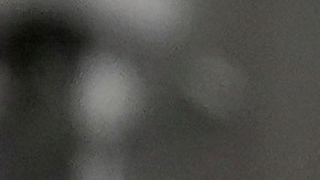 Anuel AA y Justin Quiles endosan a Donald Trump