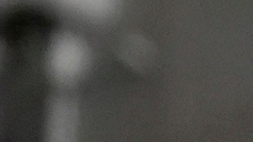 Anuel AA y Justin Quiles endosan a Donald Trump