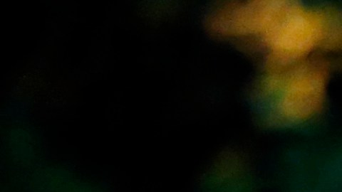 Pedro Martínez durante un discurso de su exaltación al Salón de la Fama del Béisbol.