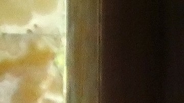 Alejandra Guzmán junto a su madre Silvia Pinal.