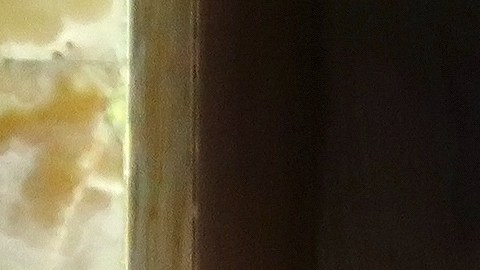 Alejandra Guzmán junto a su madre Silvia Pinal.