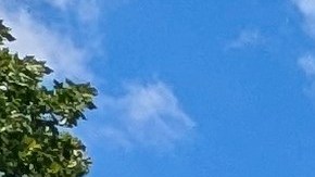 Adultos mayores quienes disfrutan del deporte blanco en Kissena Park, Queens. /J. Ramírez