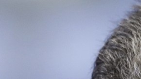 Doble cadena perpetua a hombre que mató a pareja para robarle dinero y así “luchar” contra Maduro