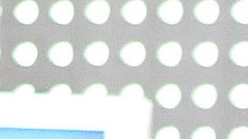 Alicia Villarreal y Cruz Martínez se casaron el 31 de agosto de 2003.