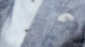 Floyd Mayweather, a la izquierda, y John Gotti III pelean durante un combate de boxeo de exhibición en la Arena México en la Ciudad de México, el sábado 24 de agosto de 2024. (Foto AP/Eduardo Verdugo)