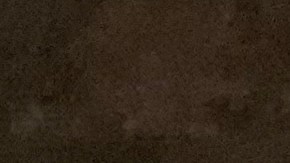 Camarones enchilpotados: