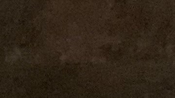 Camarones enchilpotados: