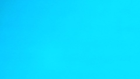 Carlos Calderón y sus deseos de ampliar la familia - El Diario NY