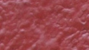 Carmen Aub, actriz mexicana.