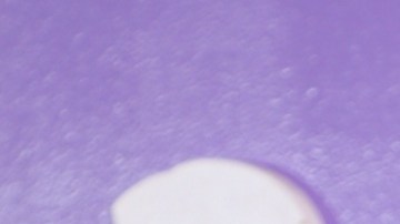 Carolina Sandoval, presentadora de televisión.