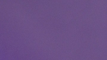 Chiquinquirá Delgado, presentadora venezolana de televisión.