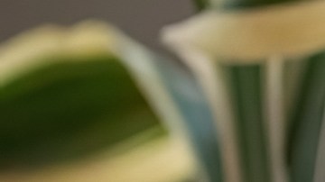 Alimentos que se deben evitar comer en hoteles