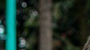 Daniel Arenas y Carlos Calderón fueron compañeros en 'Hoy Día'.