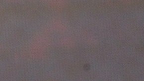 David Zepeda, actor mexicano.