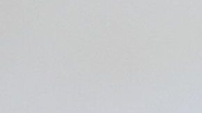 Dana White y Óscar de la Hoya.