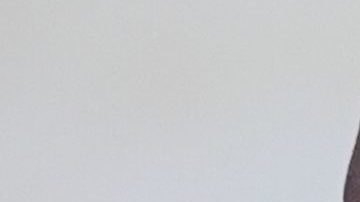 Dana White y Óscar de la Hoya.