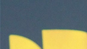 Don Omar, reguetonero.