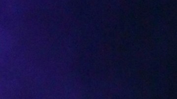 Don Omar, cantante puertorriqueño.