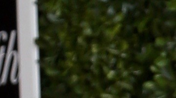 Dra. Nancy Álvarez.