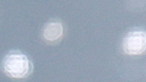 Dua Lipa luchó durante tres años para recibir los permisos de construcción.