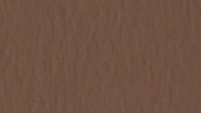 Expertos recomiendan evitar el uso de elementos comunes como paños de cocina o papel higiénico.