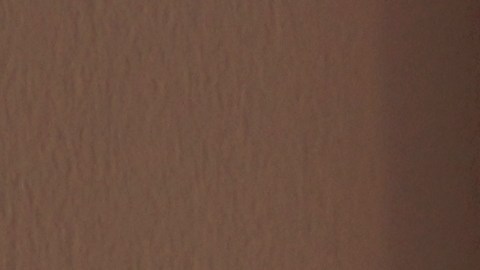 Expertos recomiendan evitar el uso de elementos comunes como paños de cocina o papel higiénico.