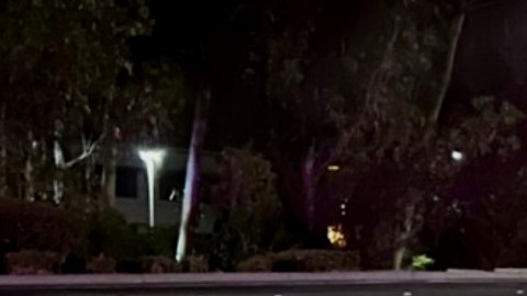 Una oficial del Departamento de Policía de Vallejo fue quien puso a salvo a la serpiente.