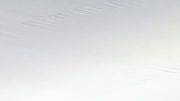 Directivos de la FMF.