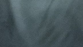 Aficionados franceses ondean banderas en los Juegos Olímpicos 2024.