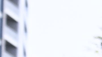 Fans de San Diego Padres.