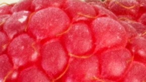 Por tener un índice glucémico bajo se recomienda 5 frutas que para comenzar el día sin que afecte los picos de azúcar en sangre