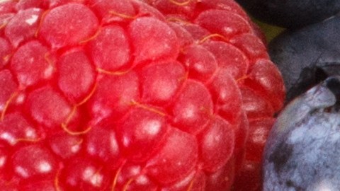 Por tener un índice glucémico bajo se recomienda 5 frutas que para comenzar el día sin que afecte los picos de azúcar en sangre