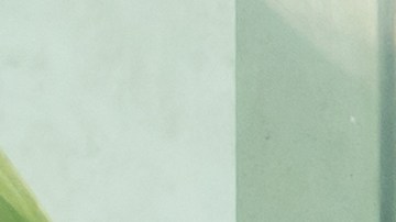 Hay frutas que son consideradas más saludables que otras por su composición.