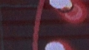 Gabriel Soto y Cecilia Galliano.