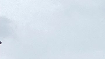 Ecuatorianos observan el desfile a la altura de la Calle 74 y Northern Boulevard.