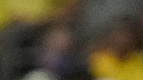 Entrenador Gustavo Alfaro.