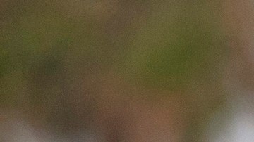 Las instalaciones en California, que están bajo la jurisdicción del Gobierno federal pero son operadas por corporaciones privadas. Foto referencial.