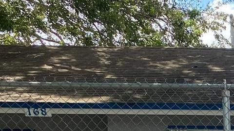 Los pequeños de la escuela K-4 del Centro La Salle en Homestead, Florida. /Brenda Blanton Cortesía Centro La Salle