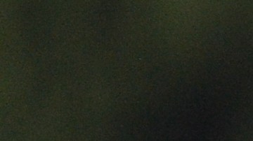 El entrenador brasileño se mostró bastante afectado por la derrota en la Leagues Cup.